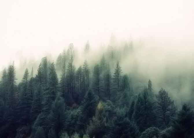 求个便宜渠道的如何攻击网站